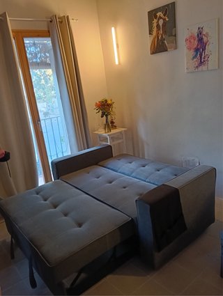 Sofá Cama Gris 2 Plazas hay que venir a recogerlo