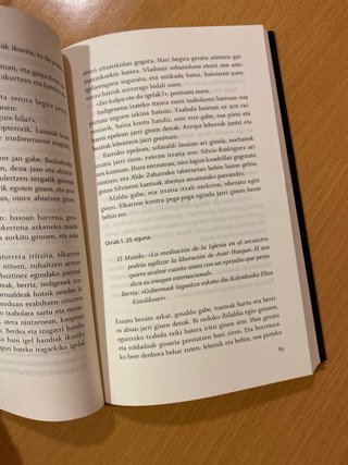 Novela histórica