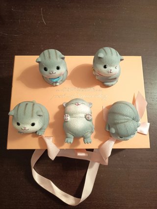 Set di 5 Gatti Decorativi Grigi