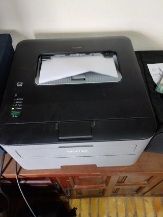 Impresora Brother HL-L2300D