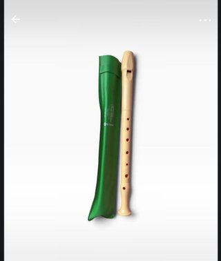 Flauta dulce con funda verde