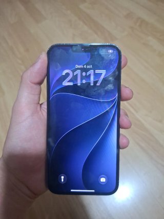 iPhone pro max 13  256gb