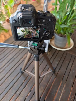 Panasonic Lumix DC-FZ82D Cámara Digital