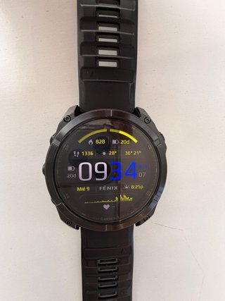 Garmin Fenix 8 Negro 51 mm Caja de titanium