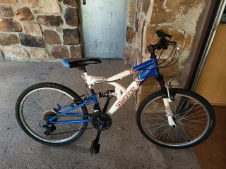 Bicicleta infantil azul