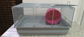 Jaula para hámster con rueda rosa