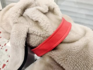 MUÑECO PERRITO GRANDE 60 CM