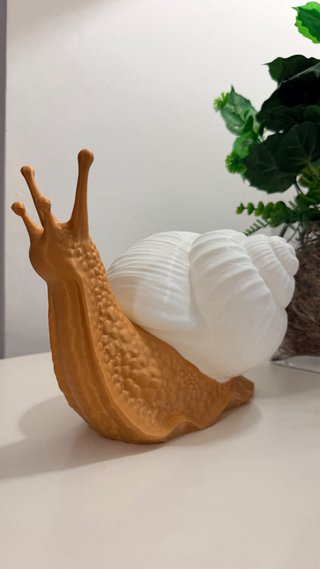 Luminária Caracol