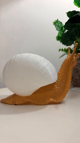 Luminária Caracol