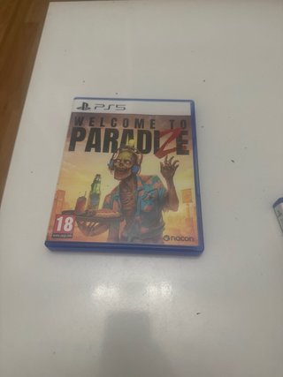 Welcome to ParadiZe PS5