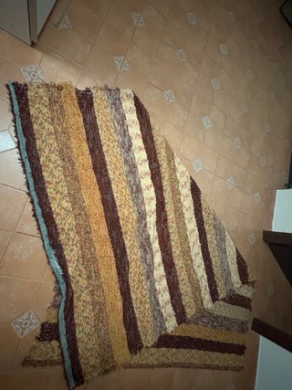 Alfombra grande salón 245x166 cm