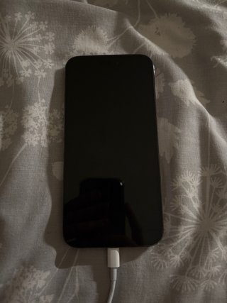 iPhone 14 Pro Max 128GB - Batería 96%