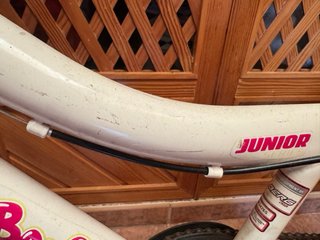 Bicicleta Infantil Berg Charm