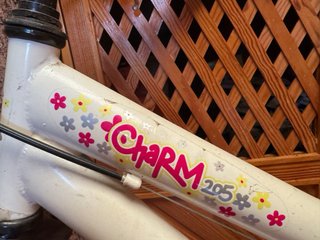 Bicicleta Infantil Berg Charm