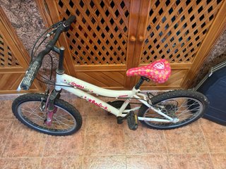 Bicicleta Infantil Berg Charm