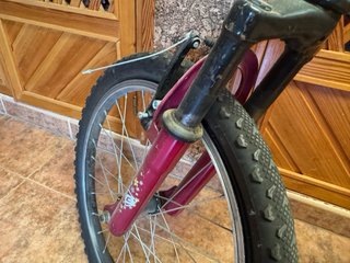 Bicicleta Infantil Berg Charm