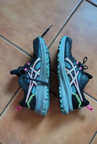 Zapatillas Asics Trail Scout