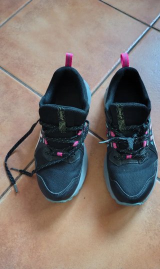 Zapatillas Asics Trail Scout