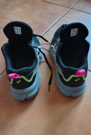Zapatillas Asics Trail Scout