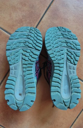 Zapatillas Asics Trail Scout