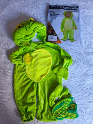 Disfraz de Ranita para Bebé (6-12 meses)
