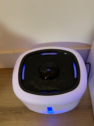 Fuente para Gatos