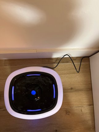 Fuente para Gatos