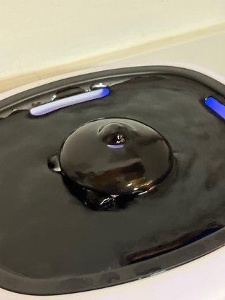 Fuente para Gatos