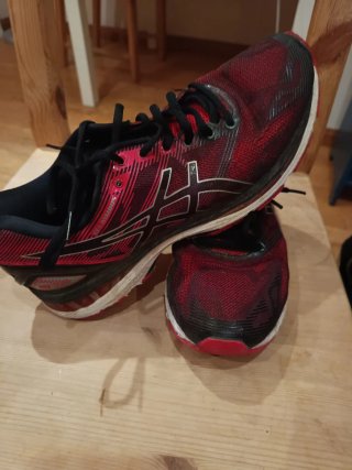 Zapatillas Running Asics Gel-Nimbus 19 Talla 42