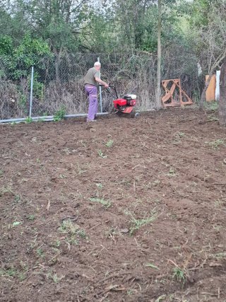 Servicio de jardinería profesional