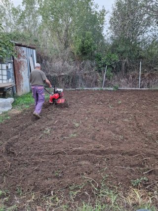Servicio de jardinería profesional
