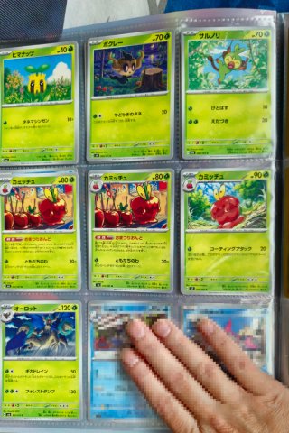 Cartas Pokémon Japonesas