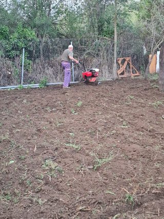Servicio de Jardinería Profesional