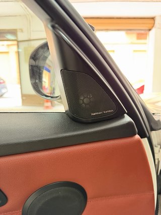 BMW Serie 3 2010