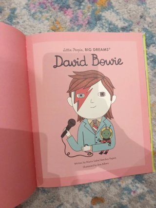 Libro de miticos cantantes pop y rock