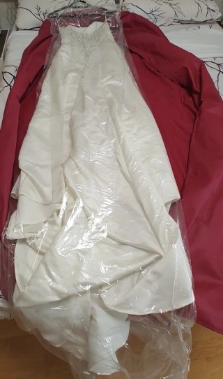 Vestido de Novia Alba Moda T.34 + Velo de Regalo
