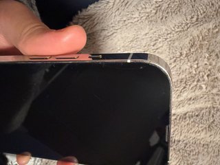 iPhone 13 Pro Max + 2 fundas