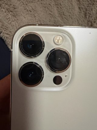 iPhone 13 Pro Max + 2 fundas