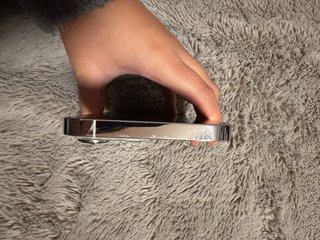 iPhone 13 Pro Max + 2 fundas