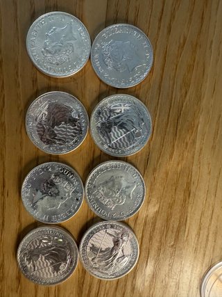 8 Onzas de Plata Pura