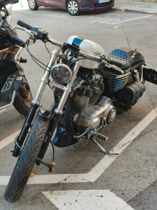 Harley Davidson Sportster 883 Carburación