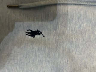 Sudadera Polo Ralph Lauren Azul