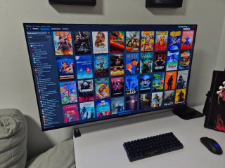 Monitor/TV LG OLED C5 42 4K 144Hz