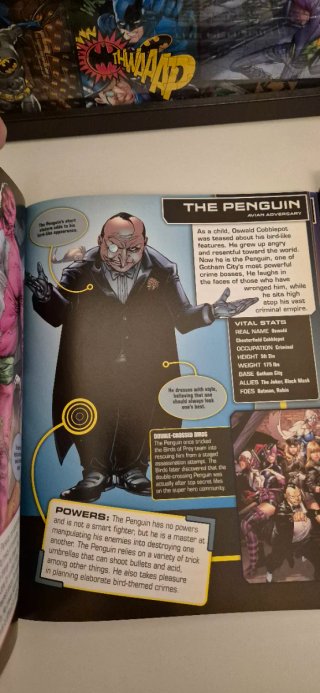 DC Comics: the ultimate character guide