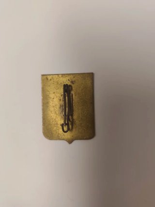 Insignia Legión Cruzada