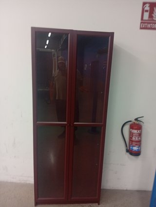 Librería IKEA BILLY con puertas OXBERG