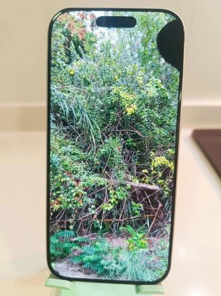 iPhone 17 Pro Plateado, defecto en pantalla