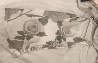 Camisetas pantalones y falda