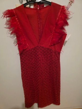 Vestido de Fiesta Rojo con Plumas
