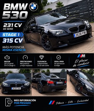 BMW Serie 5 2009